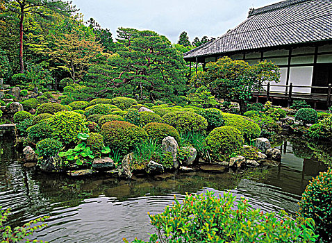 庙宇,花园,京都,日本