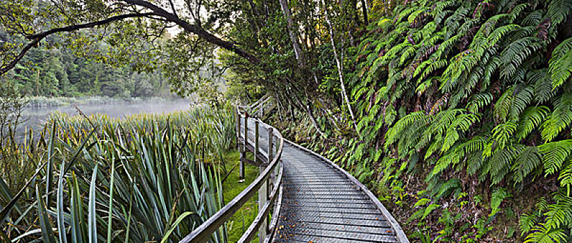 步行桥,湖,西海岸,南岛,新西兰