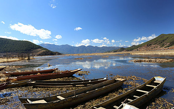 泸沽湖草海