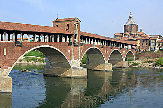 桥,帕维亚,伦巴第,意大利,欧洲