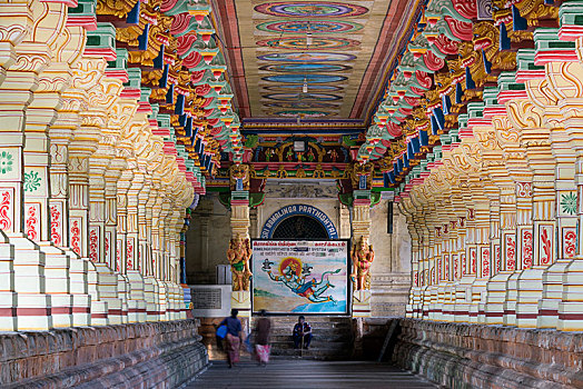 涂绘,柱子,庙宇,岛屿,泰米尔纳德邦,印度,亚洲