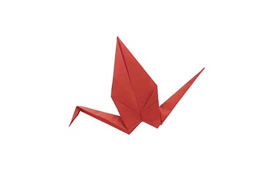 红色,折纸,鸟