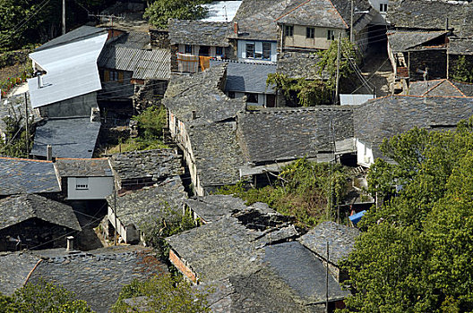 小村庄,屋顶,卢戈省,加利西亚,西班牙