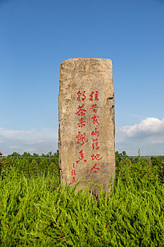 山东临沂,沂蒙山区,乡村茶园中茶文化石刻