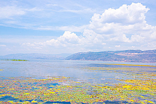 湖泊水域