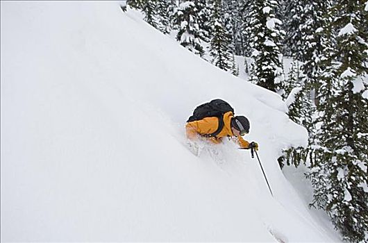 男人,边远地区,滑雪,不列颠哥伦比亚省,加拿大