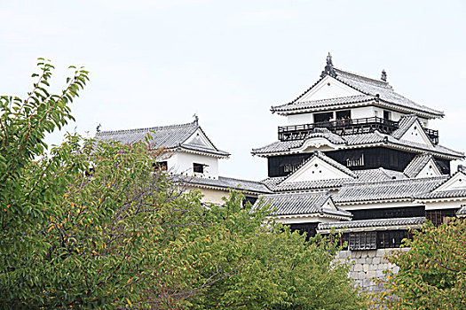 松山市,城堡,日本