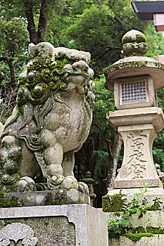 监护,石狮,传统,石灯笼,入口,神祠,奈良,日本