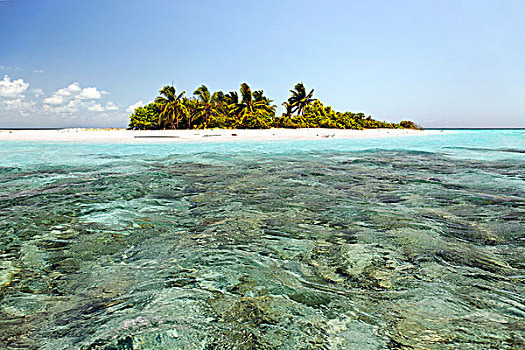 岛屿,马尔代夫,泻湖,珊瑚,棕榈树,海滩,青绿色,水,南马累环礁,群岛,印度洋,亚洲