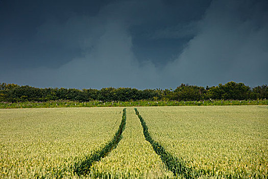 乡村,土地,暗色,雷雨天气,诺森伯兰郡,英格兰
