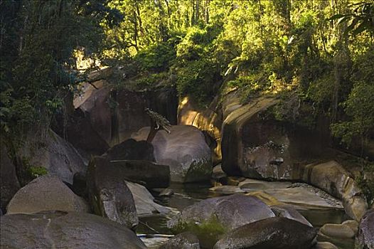 漂石,溪流,昆士兰,澳大利亚