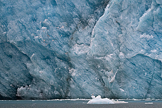 冰,冰河,边缘,斯匹次卑尔根岛,斯瓦尔巴特群岛,岛屿,挪威,欧洲