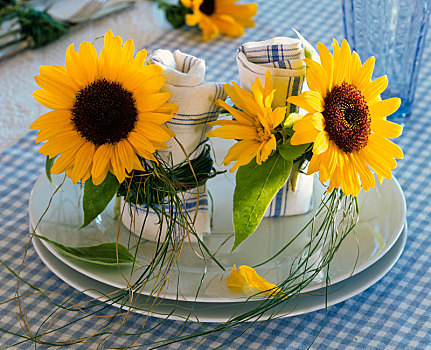 花,向日葵属,餐巾环,草,餐巾