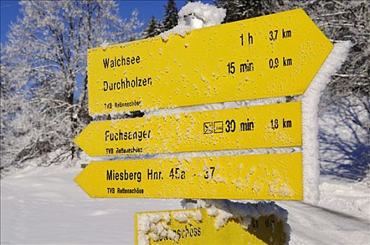 积雪,路标,湖,提洛尔,奥地利,欧洲