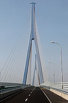 金塘大桥,斜拉桥