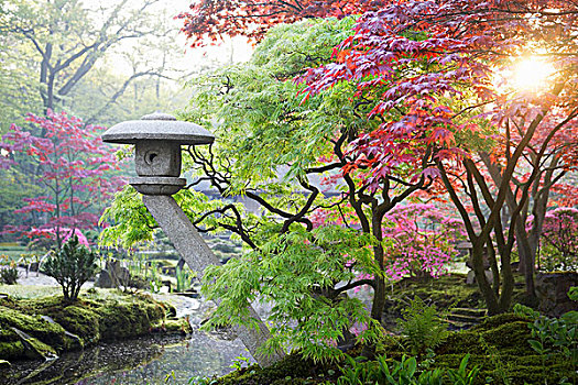 日式庭园,石灯笼