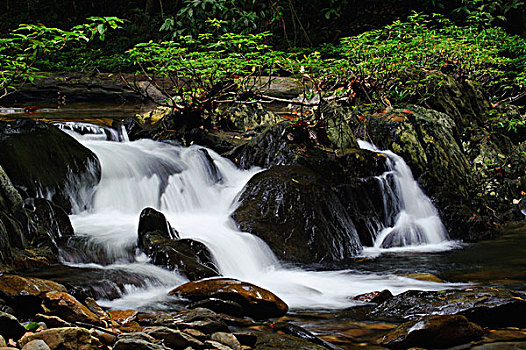 河流,流动,质朴,低地,雨林,国家公园,马来西亚