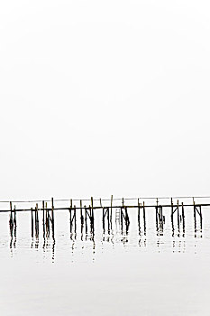 木质,码头,反射,安静,水,模糊,港口,普尔,多西特,英格兰,二月,2009年