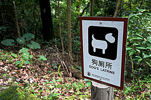 香港,自然公园,狗,标识