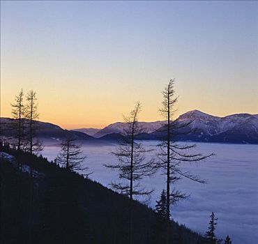 风景,高处,雾,山峦,下奥地利州,奥地利