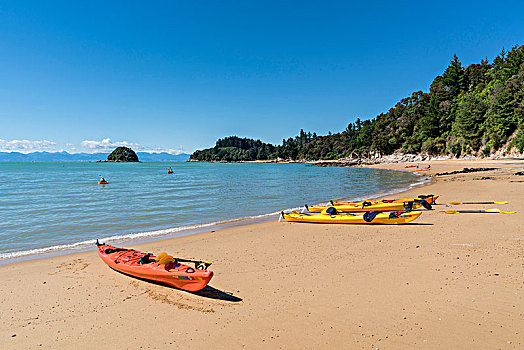 皮划艇,分开,苹果,石头,海滩,区域,南岛,新西兰