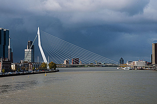 桥,河,俯视,鹿特丹,港口