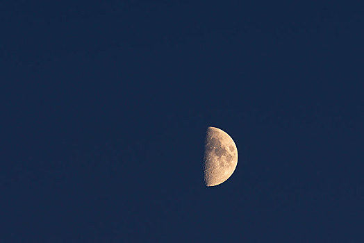 半月,夜空,德国,欧洲