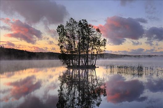 岛屿,中间,湖,瑞典