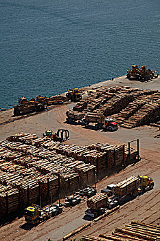 伐木,卡车,递送,出口贸易,原木,港口,奥塔哥,南岛,新西兰