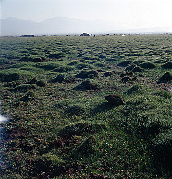 若尔盖大草原