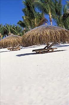 法属玻利尼西亚,沙滩椅,茅草屋顶,平房,白色背景,沙滩,棕榈树