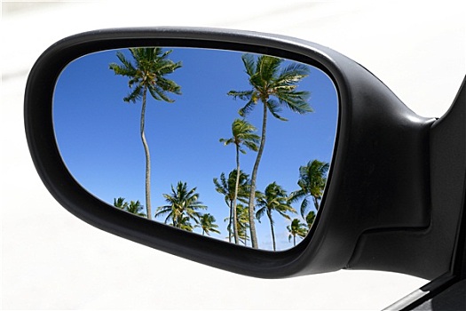后视图,汽车,后视镜,热带,棕榈树