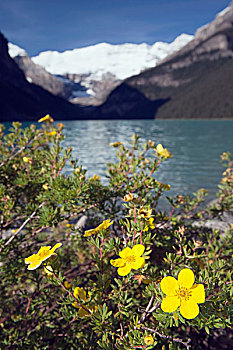 路易斯湖,维多利亚山,艾伯塔省,加拿大