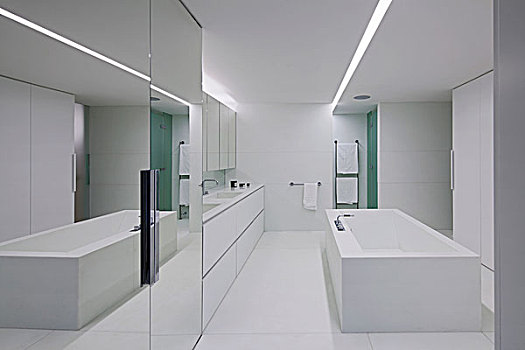 浴室,独特,现代家庭,家,设计