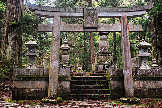 墓穴,墓地,世界遗产,文化遗产,和歌山,靠近,大阪,日本,亚洲