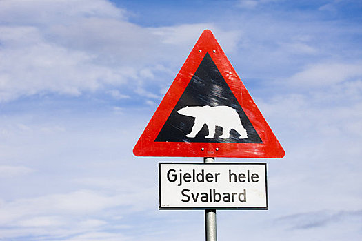 北极熊,警告标识,朗伊尔城,斯匹次卑尔根岛,挪威