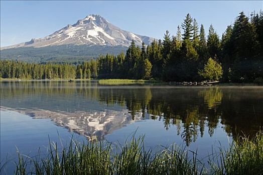 延龄草,湖,胡德山,火山,喀斯喀特山脉,俄勒冈,美国