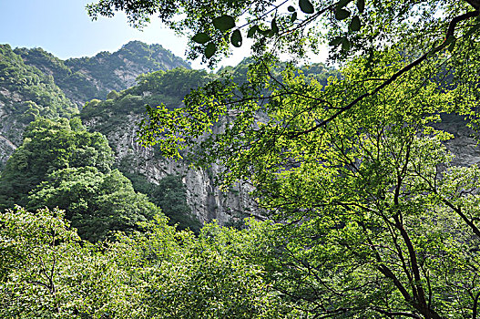 西安鄠邑太平国家森林公园