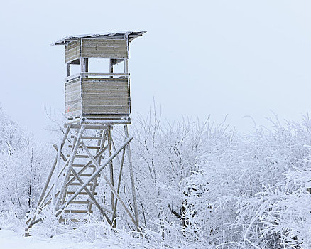 了望塔,冬天,黑森州,德国