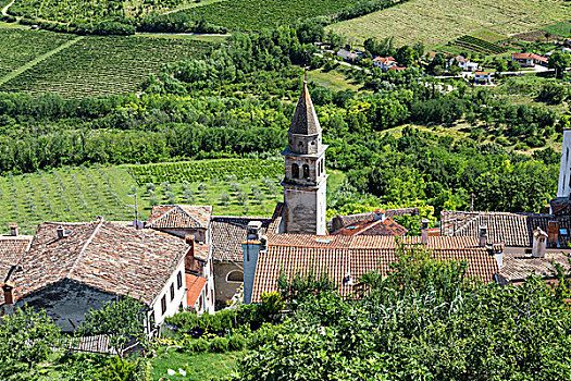 教堂钟,塔,中世纪,山顶,城镇,克罗地亚,意大利