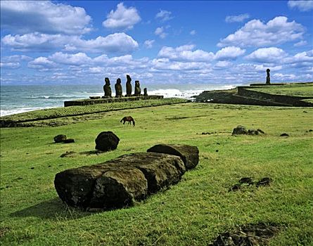 复活节岛石像,阿胡塔哈伊,靠近,汉加洛,石刻,帕努国家公园,复活节岛,智利,大洋洲,蒙太奇