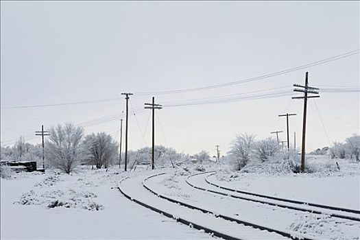 轨道,通过,积雪,风景