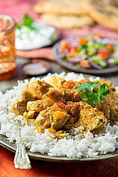 鸡肉咖哩,米饭,印度