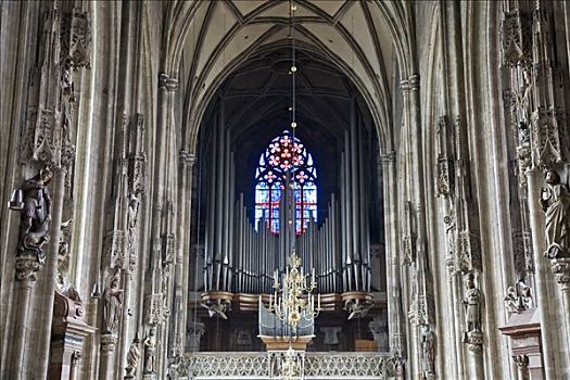 内景,器官,圣斯特凡大教堂,维也纳