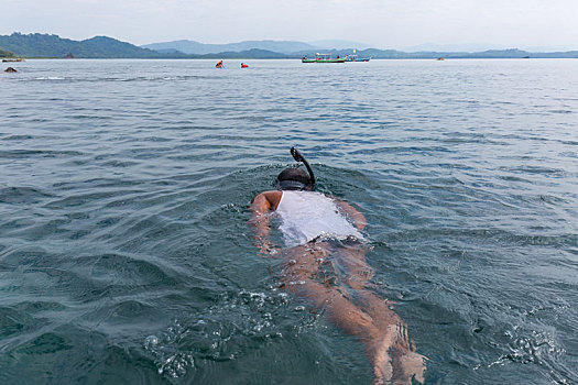 海湾浮潜