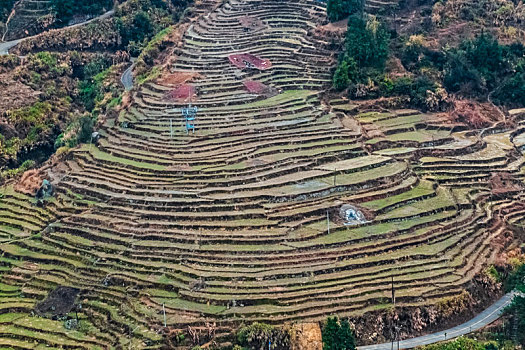 福建省,龙岩市,永定区,南溪,梯田,自然景观