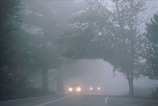 道路,雾,佛蒙特州,美国