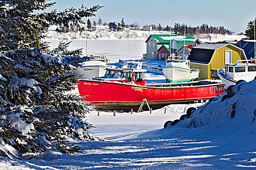 渔船,向上,冬天,法国河,爱德华王子岛,加拿大
