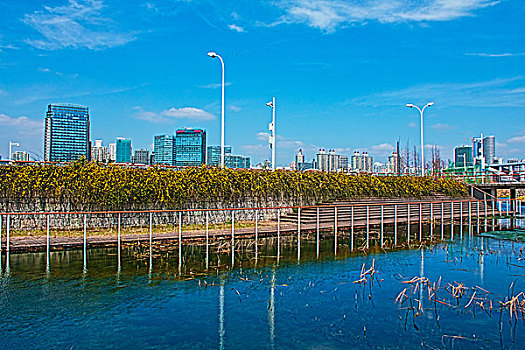 上海世博园后滩湿地公园风光