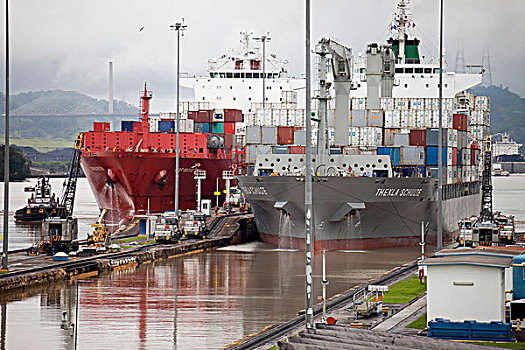集装箱船,帽,巴拿马运河,靠近,米拉佛劳厄斯,锁,巴拿马市,巴拿马,中美洲